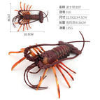 PL127-916 Boston lobster 916-0.185kg