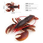 PL127-910 Australian lobster 910-0.255kg
