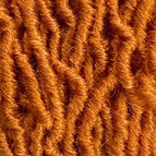 GINGER / États-Unis