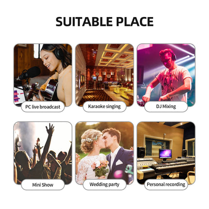 Debra NEW V4 Audio Mixing Console Bluetooth USB Record PC 48V Phantom Power Delay Repaeat Effect 4 Channels USB Audio Mixer.