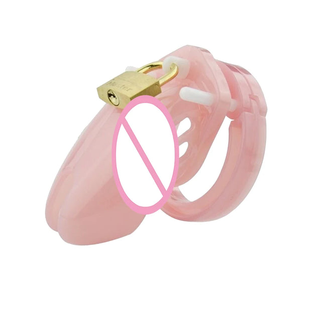 Male Chastity Cage Device Small/Standard Cock Cage with 5 Size Rings Brass Lock Locking Number Tags Erotic Urethral Men SexyToy