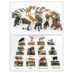 Wild Animale toys