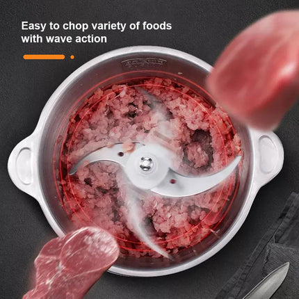 BioloMix 2 Speed 500W Meat Grinder Stainless Steel 2L Capacity Food Mincer Processor Slicer for US Market 110V