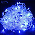Blue / 10M 100LEDs 220V EU