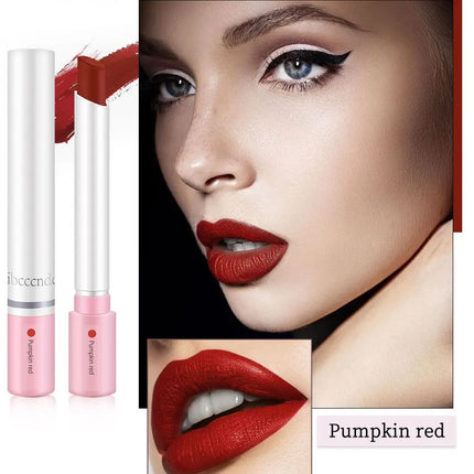 4-Lasting Stick Waterproof Lip Set - Long-Lasting Matte Lipstick with Transparent Finish - Perfect Valentine's Day Gift for Her
