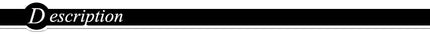 ZS 1 Piece Stainless Steel Nose Chain 32MM-50MM Bridge Piercing Sharp Cone Tassel Dangle Nostril Piercings Jewellery Accessories