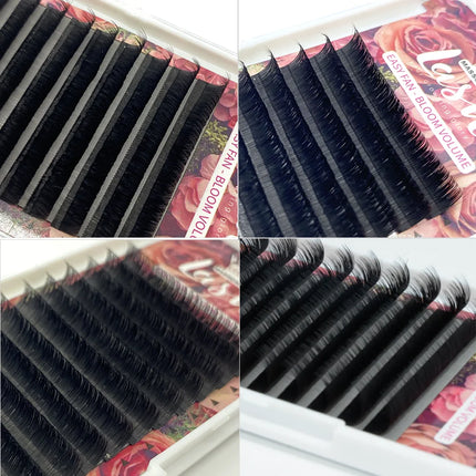5Cases/Lot MASSCAKU Easy Fan Bloom Eyelash Extension Austomatic Flowering Fast Fan Self-Making Fans Volume Lashes Supplies