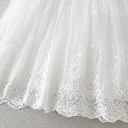 Hetiso Baby Girls Dress Long Sleeve Kids First Birthday Ball Gown Infant Dresses for Baptism Bridesmaid party 3-24 month