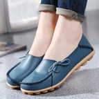 LightBlue / 43