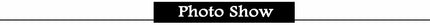 1Pc 316L Stainless Steel Nose Septum Clicker Hinged Segment Ring Nose Hoops Lip Ear Cartilage Ear Helix Body Piercing Jewelry