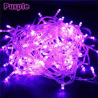 Purple / 5M 40LEDs 220V EU