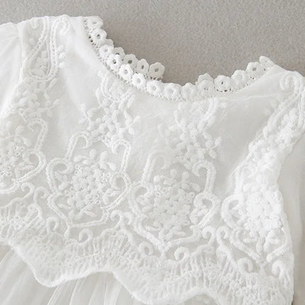 Hetiso Baby Girls Dress Long Sleeve Kids First Birthday Ball Gown Infant Dresses for Baptism Bridesmaid party 3-24 month