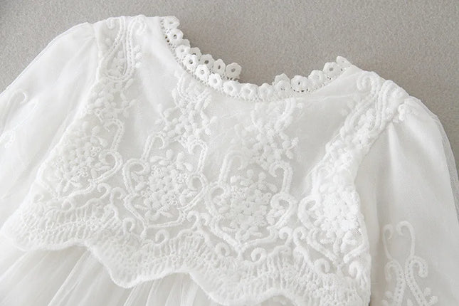 Hetiso Baby Girls Dress Long Sleeve Kids First Birthday Ball Gown Infant Dresses for Baptism Bridesmaid Party 3-24 Months