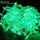 Green / 5M 40LEDs 220V EU