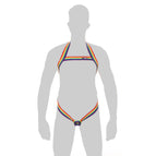 rainbow / One Size