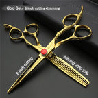 6 inch 2PC 1