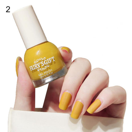 10ml Matte Nail Polish Convenient Water Proof Dry Quickly Resin Matte Set Nail Supplies for Professionals