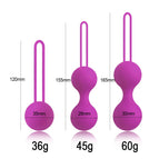 Purple SML / China Mainland