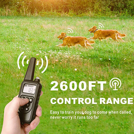 800m Electric Dog Training Collar Product Acessories with LCD Display Pet Remote Control Waterproof Rechargeable Collars