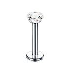 Heart v Clear / 16G 1.2x6x3mm