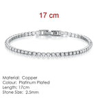 2.5mmSilverColor17cm