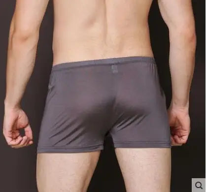 Mulberry Silk Seamless Underwear Men Boxer Natural Silk Male Panties