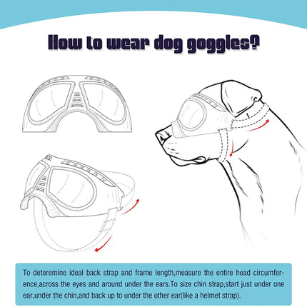 Cool Dog Sun Glasses UV Protection Windproof Goggles Pet Eye Wear Dog Swimming Skating Glasses Pet Accessories