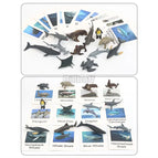 Ocean Animale toys