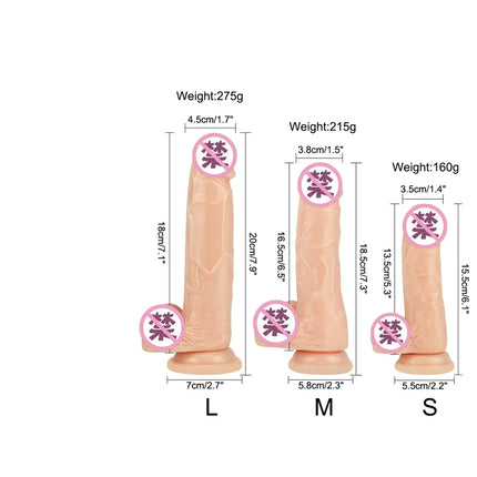 Soft Jelly Dildo Testis Realistic Anal Dildo Penis Suction Cup Male Dick Female Masturbation Fidget Toys Sex Toys for Woman