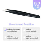 ESD-12