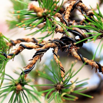 Garden Bonsai Shape Aluminum Wire (1.0mm, 1.5mm, 2.0mm, 3mm, 4mm, 5mm) Black Six Sizes for Garden and Plant Shapes