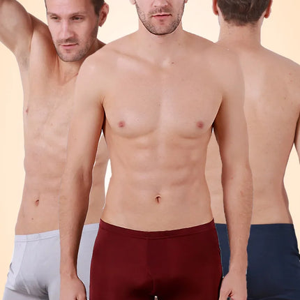 Mulberry Silk Seamless Underwear Men Boxer Natural Silk Male Panties