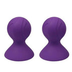 1 Nipple Clamps