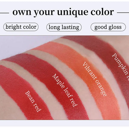 4-Lasting Stick Waterproof Lip Set - Long-Lasting Matte Lipstick with Transparent Finish - Perfect Valentine's Day Gift for Her