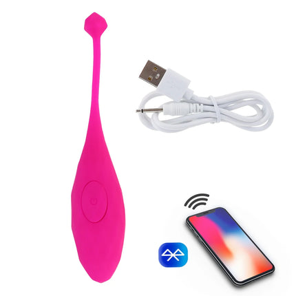 Wireless Control Panties Vibrating Eggs Vibrators Wearable Balls Vagina G Spot Massager Clit Stimulator Adult Sex Toys for Women