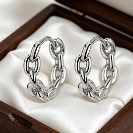 European and American Niche Earrings Design Light Luxury High-End Earrings for Women Summer Simple and Versatile Copper Gold-Plated Earrings Wholesale