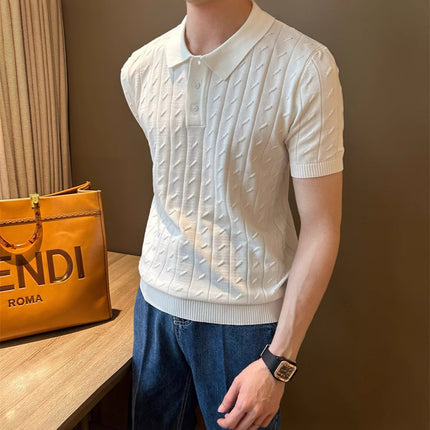 2025 Summer Polo Collar Cable Texture Simple and Versatile Elegant Short-Sleeved Knitwear Korean Style Casual Top