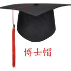 Doctoral hat (plastic plate / One size fits all