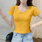 Turmeric-V neck-clear color- / S