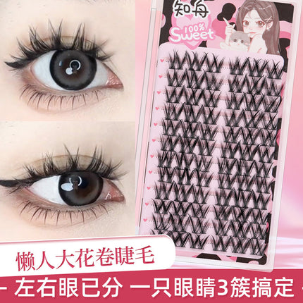 Eyelash Family Lazy Trilogy Series Cat Ear Sun Flower False Eyelash Single Cluster Mixed Style One-stop Purchase