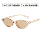 Champagne frame champagne slices