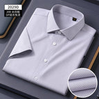 Short sleeve lxdp2029d / 38