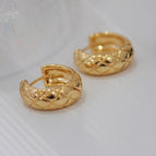 Earrings-52/gold large size