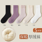 Velvet and thickening [5 pairs] black + purple + lotus root powder + khaki + white