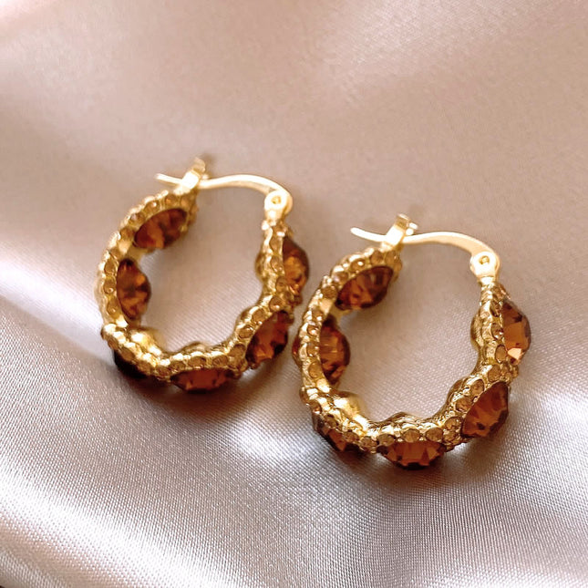 Brown Crystal Hoop Earrings, Feminine Accessible Luxury Earrings, 2025 New Internet Celebrity Hot Style High-End Earrings for Women