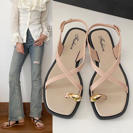 2024 New Arrival Set Toe Sandals and Slippers Women's Summer Outer Wear Cyber Celebrity Ins Flat French Style High-grade Clip-toe Women's Shoes