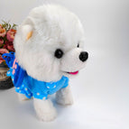 Pure english battery model / Traction rope blue clothes white rich dog