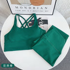Swamp green (set) / S