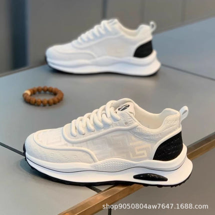 Dad Shoes New Summer Sneakers for Men 2025 Trendy Brand Fashion Mesh Thin Style Breathable Versatile Casual Shoes