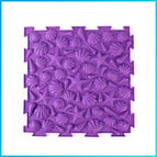30*30*1.6cm / True color-small shell